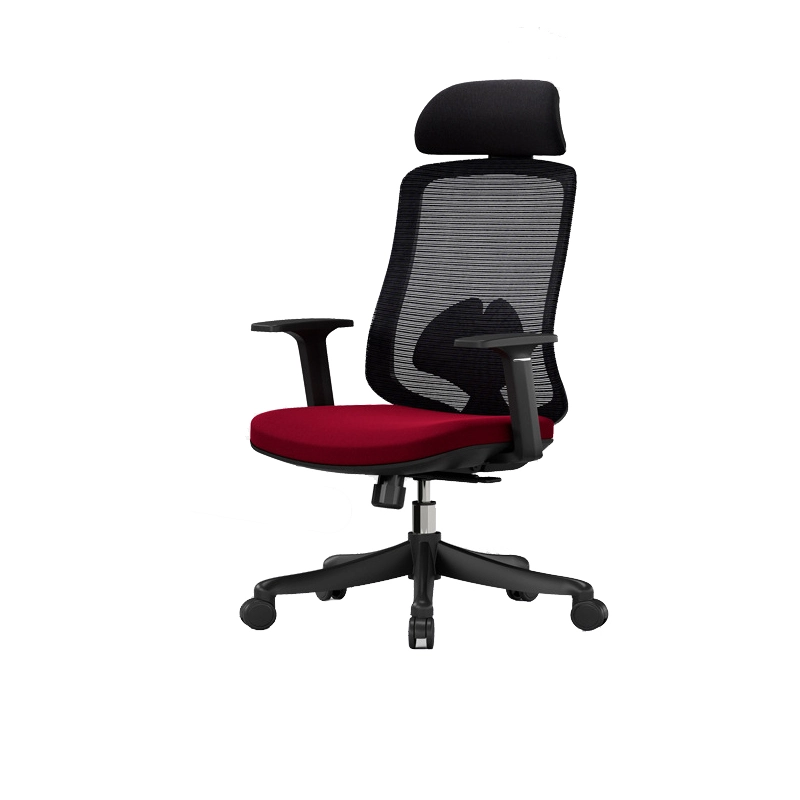 ergonomic office chair for back pain